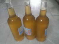 Mật ong hoa nhãn tại Hải Dương